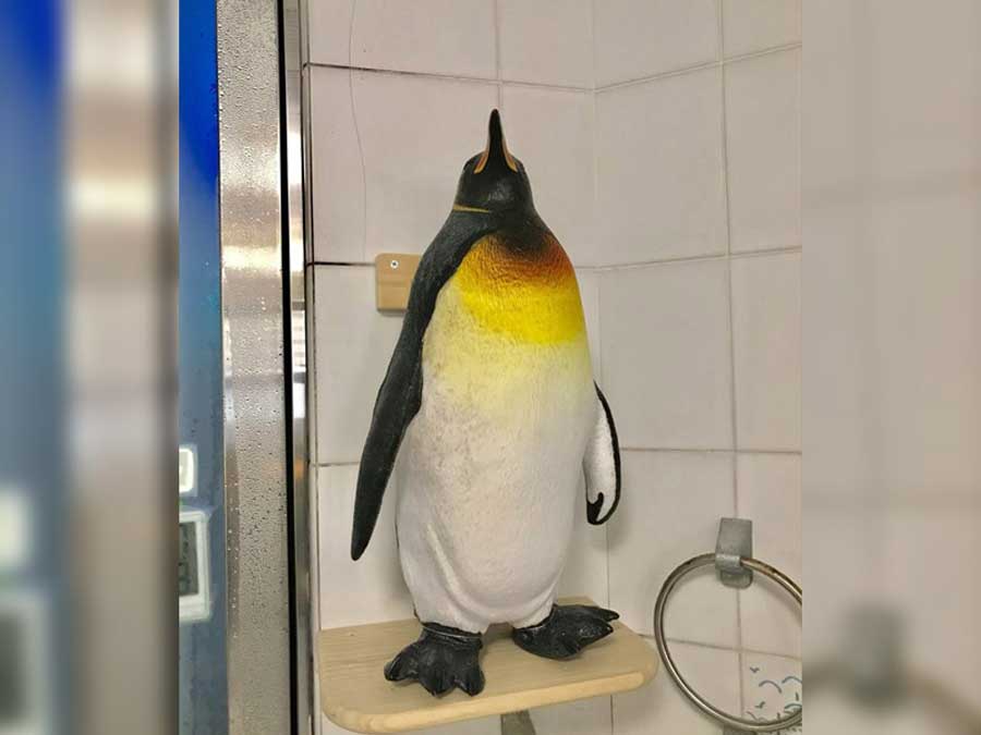 サウナセンター-ペンギンルーム